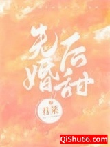 先婚后甜小说