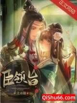 臣领旨小说