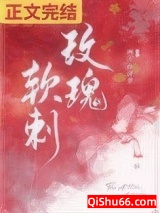 玫瑰软刺小说