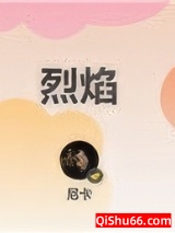 烈焰小说