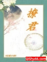 撩君小说