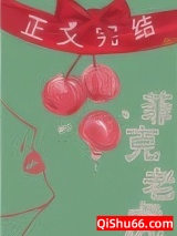 菲克老虎小说