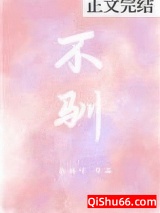 不驯小说