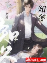 知冬小说