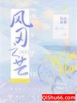 风刃之芒小说