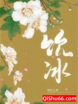 饮冰小说