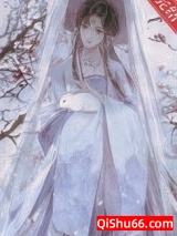 白月光外室她又娇又钓小说