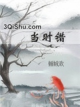 当时错小说