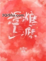温糖上瘾小说
