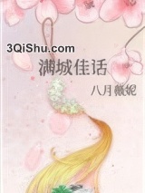 满城佳话小说