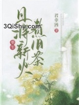 且将新火煮旧茶（重生）小说