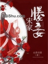 太子媵妾小说