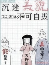 沉迷美貌不可自拔小说