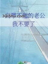 高攀不起的老公，我不要了小说