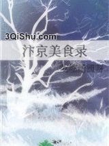 汴京美食录小说
