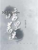 暗里着迷小说