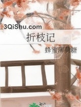 折枝记小说