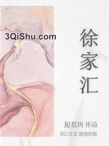 徐家汇小说