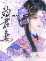 为君妻小说