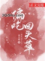 偏吃回头草小说
