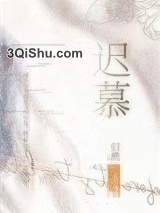迟慕小说