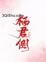 栖君侧小说