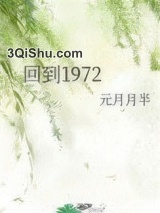 回到1972小说