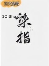染指小说