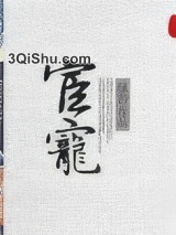 宦宠小说