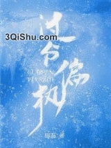 过分偏执小说
