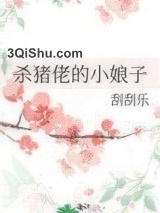 杀猪佬的小娘子小说