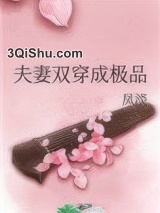 夫妻双穿成极品小说