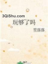 玩够了吗小说