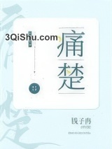 痛楚小说