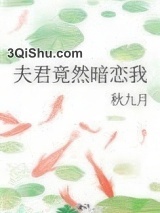 夫君竟然暗恋我小说