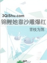 锦鲤她靠沙雕爆红小说