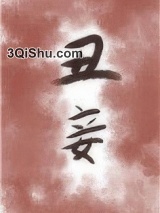 丑妾小说