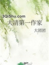 大清第一作家小说