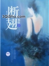 断翅小说