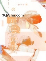 完美夫妻小说
