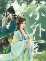 小外室小说