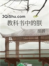 教科书中的朕小说
