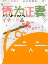 既为正妻小说