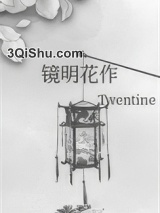 镜明花作小说