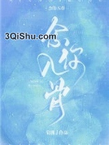 念你入骨小说