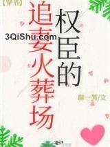 权臣的追妻火葬场小说