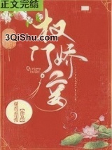 权门妾小说