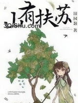 美人关小说