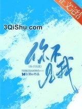 你不见我小说