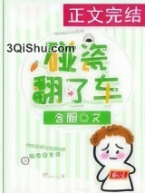 碰瓷翻了车小说